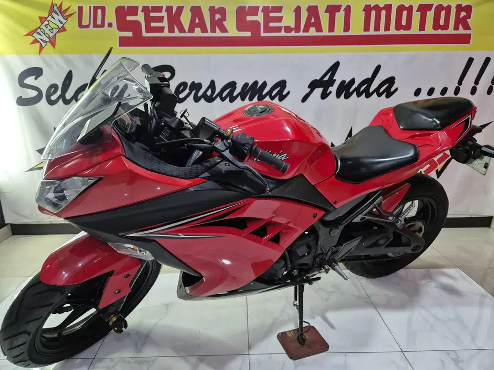 Ninja 250 2016, istimewa..