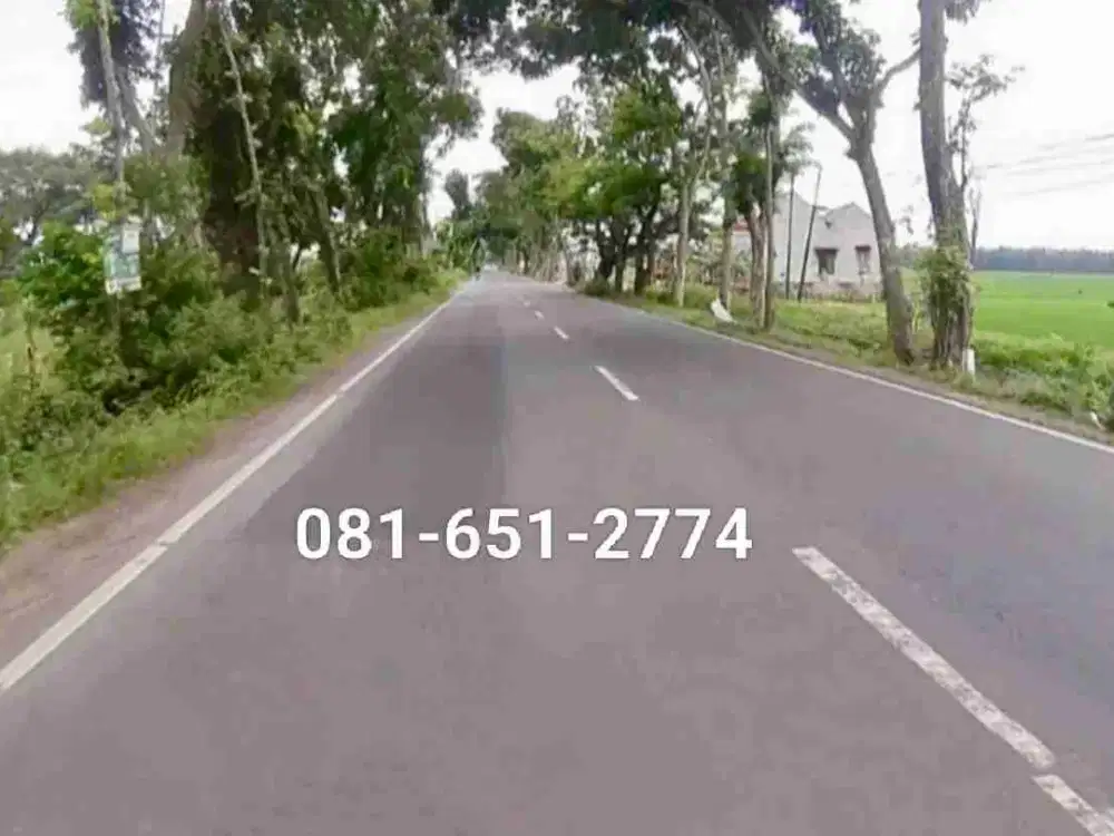 Tanah di Jombang Ploso