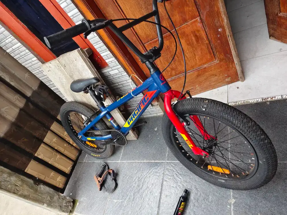 Bmx Pacific Hotspot 20inc