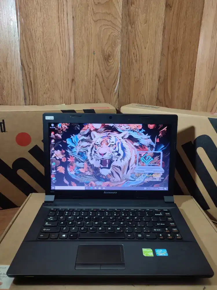 Lenovo Ideapad B490