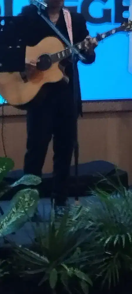 Akustik organ tunggal