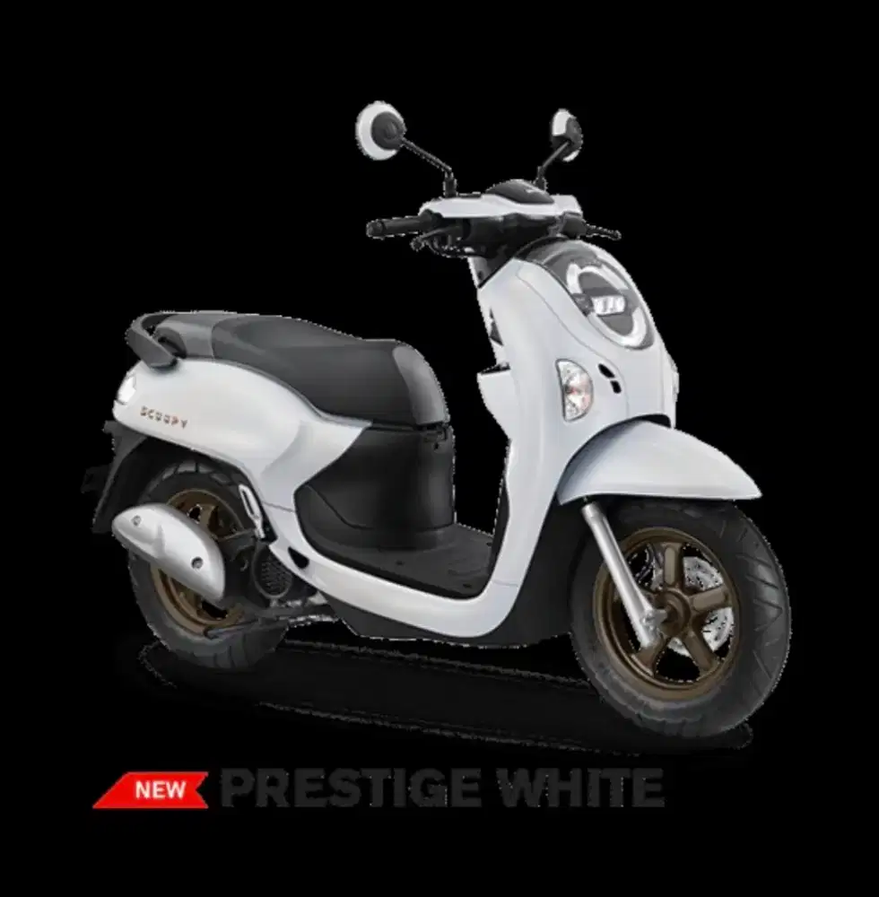 Dicari Kordinator Marketing