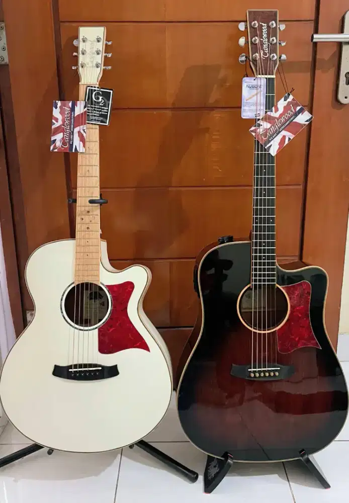 Tanglewood TW 4 E BLW
