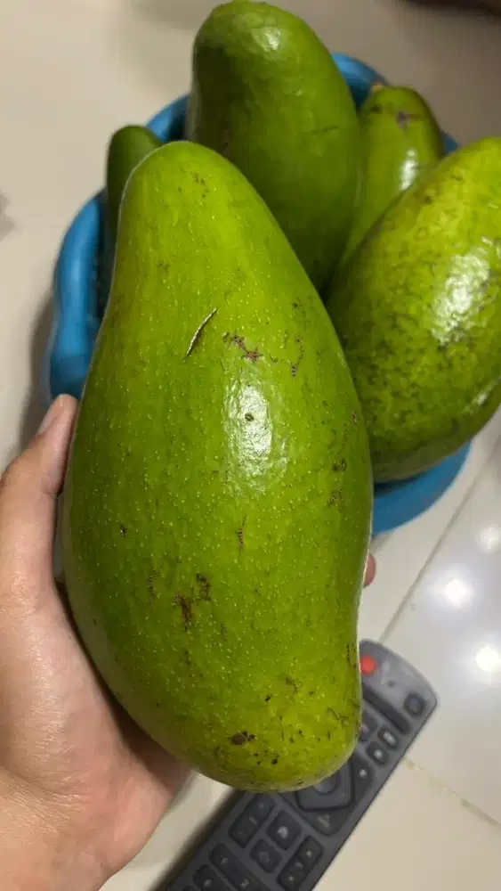 Asisten rumah tangga