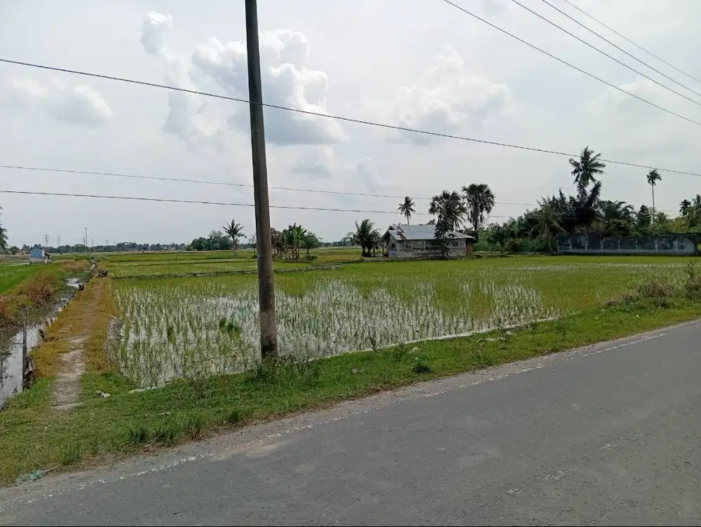 DIJUAL TANAH STRATEGIS - JL. INDUSTRI PALUH GELOMBANG, PERCUT SEI TUAN