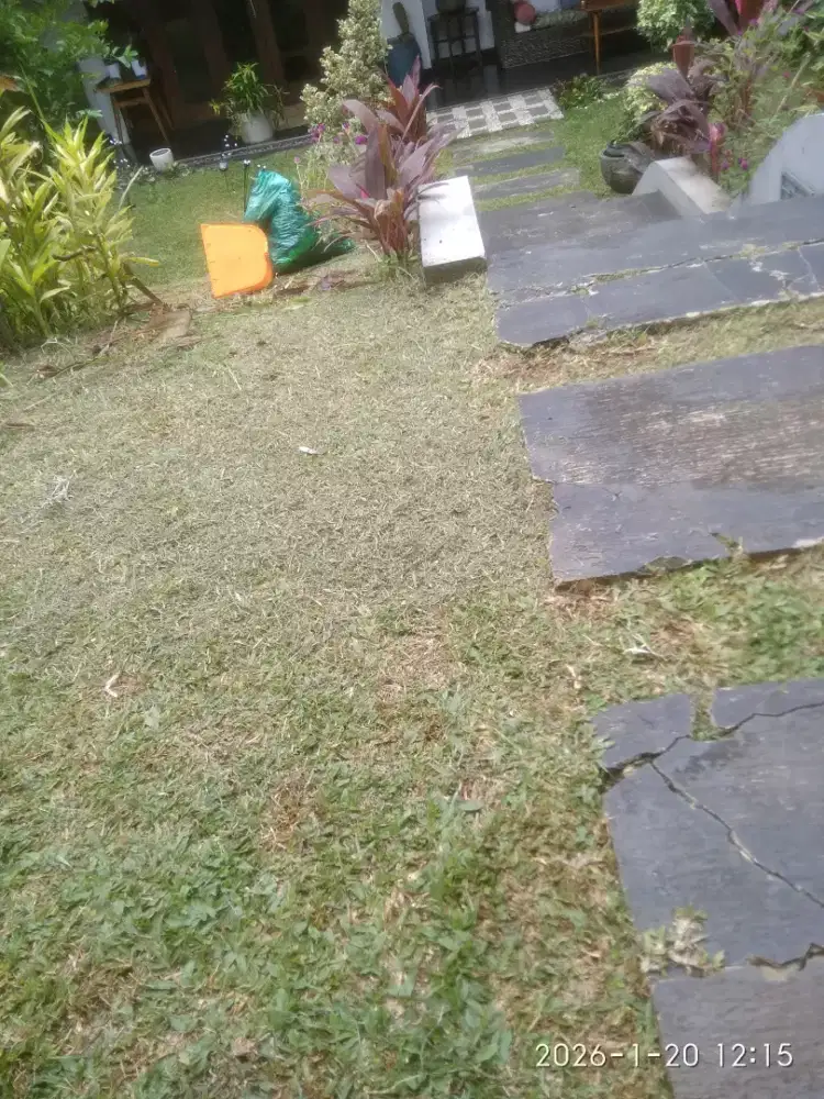 Tukang potong rumput dan bersih bersih taman