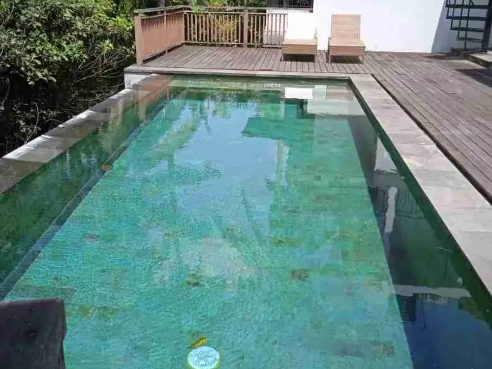 dijual vila los sungai view sawah