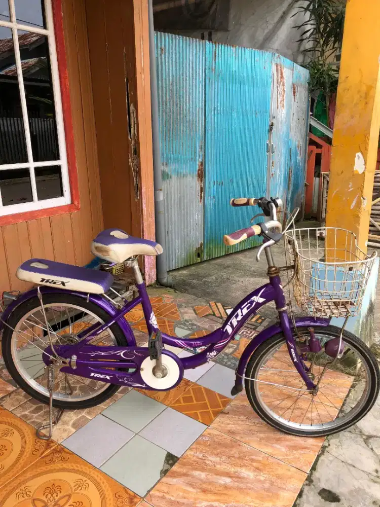 Jual murah sepeda trex mini