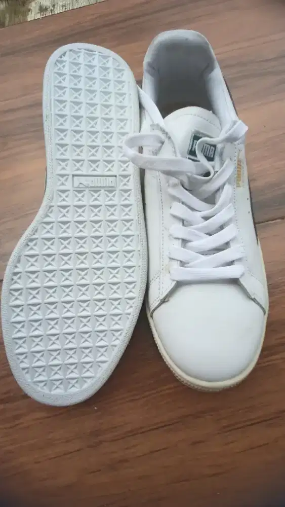 Jual Sepatu Puma