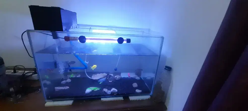 Jual aquarium full  set