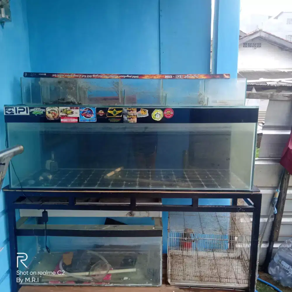 Aquarium jumbo 150 cm