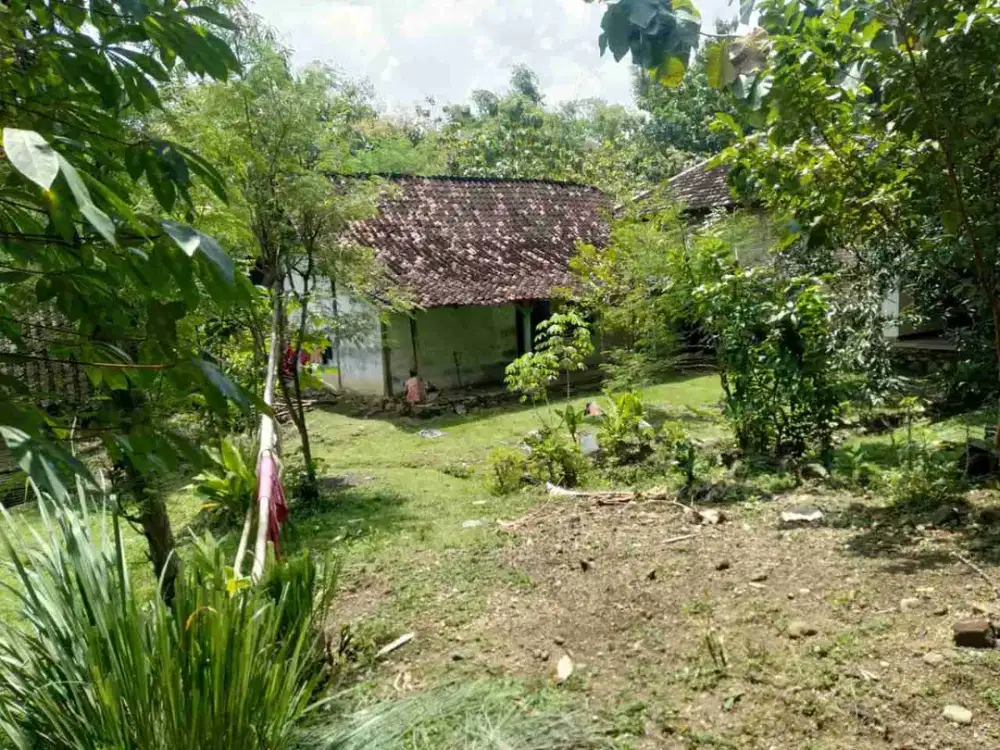 DIJUAL RUMAH 
KEL. : KARANGREJO
KEC  : WUNGU
KAB  : MADIUN