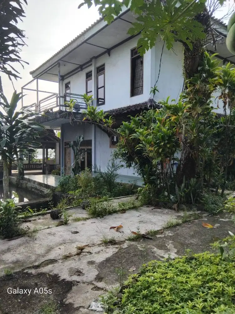 Jual BU Rumah Villa dan Tanah di Ciampea, Kab Bogor
