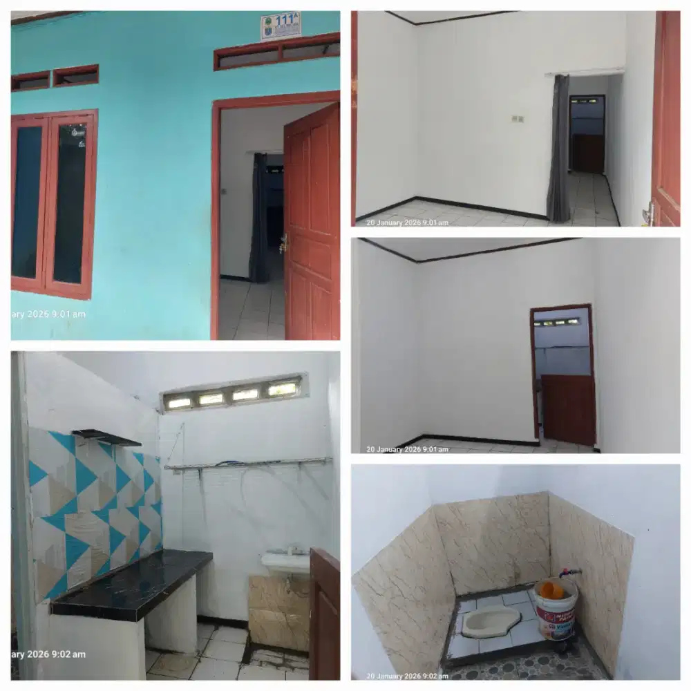 Disewakan kontrakan asri dan strategis