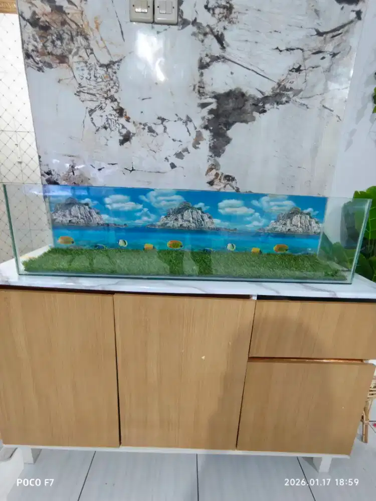 akuarium siap pakai,Bonus filter Dll