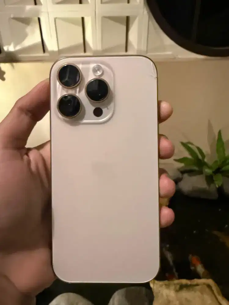 iPhone 16 Pro 128 GB inter All Operator