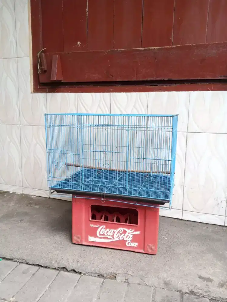 sangkar box labet lovebird beli baru enggak kepakai sama sekali