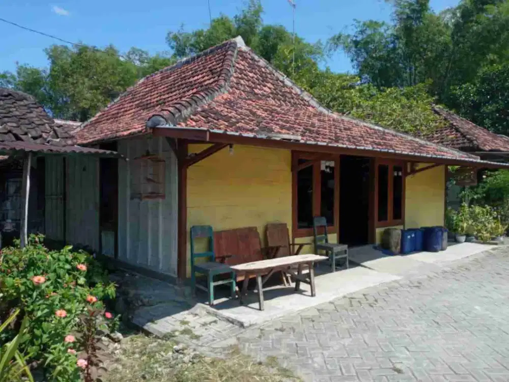 DIJUAL RUMAH 

KEL. : PANJANG
KEC  : KEDUNGADEM
KAB  : BOJONEGORO