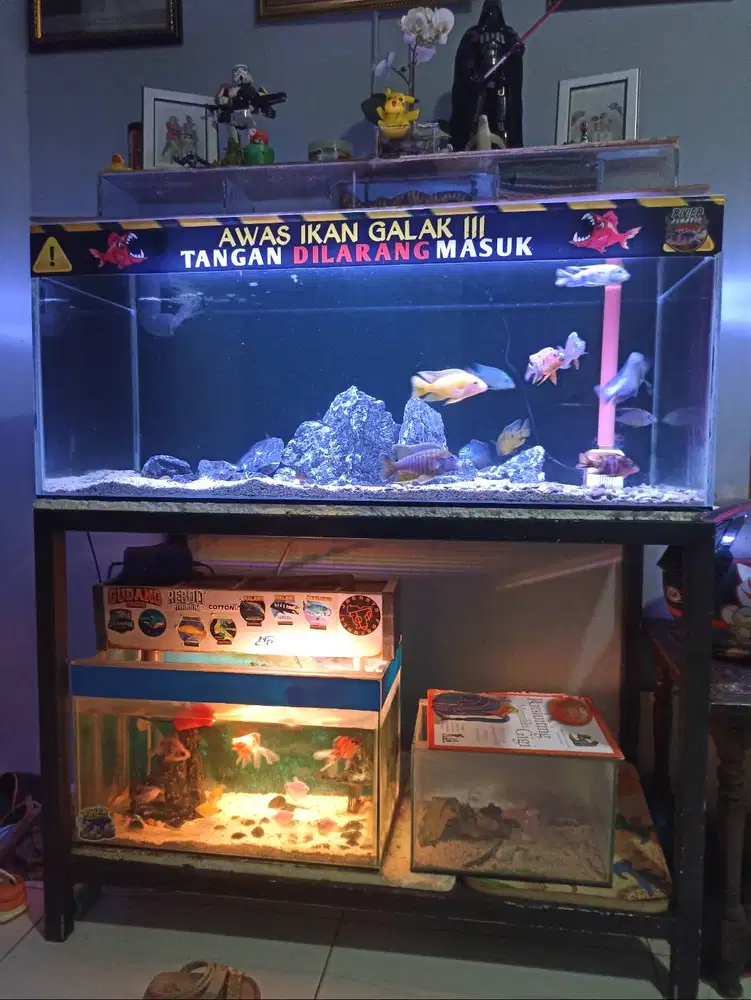 Aquarium Fullset 100x50x40