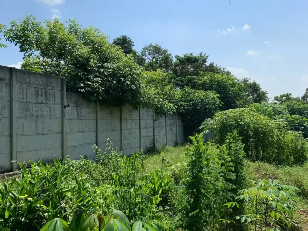 DIJUAL CEPAT TANAH CIKEUSAL DI SERANG