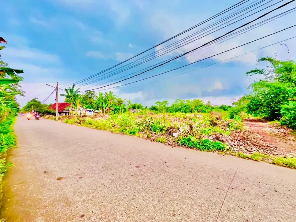 Dekat Ke BSD, Tanah Cisauk Pinggir Jalan Desa Cocok Investasi