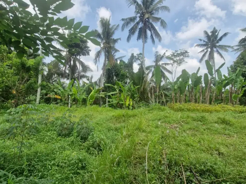 Dijual tanah di jalan cinta tegallang bagus utk villa