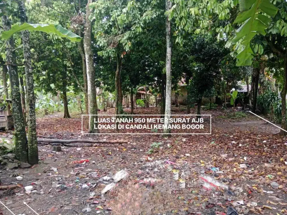 TANAH MURAH SURAT AJB DI DESA CANDALI KEMANG BOGOR