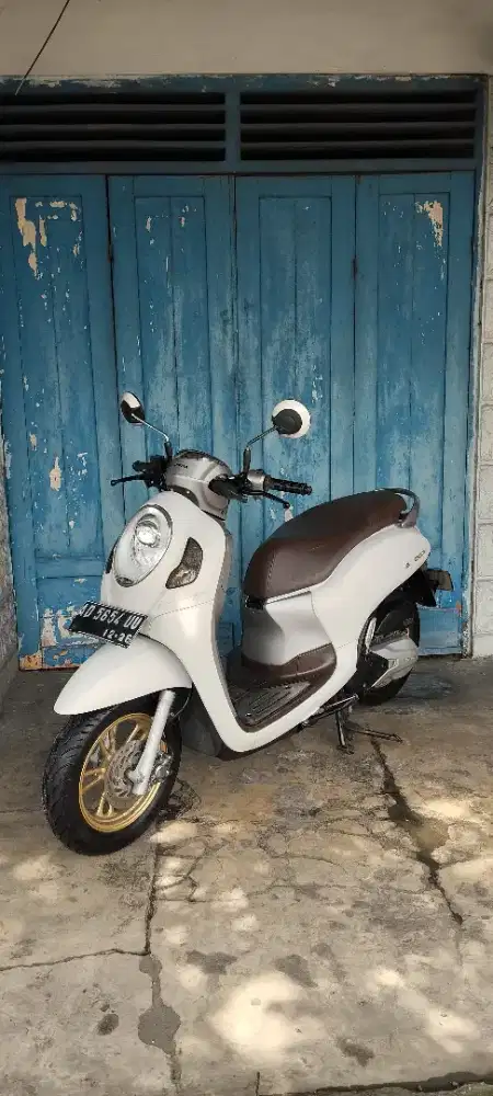 Scoopy new 2021