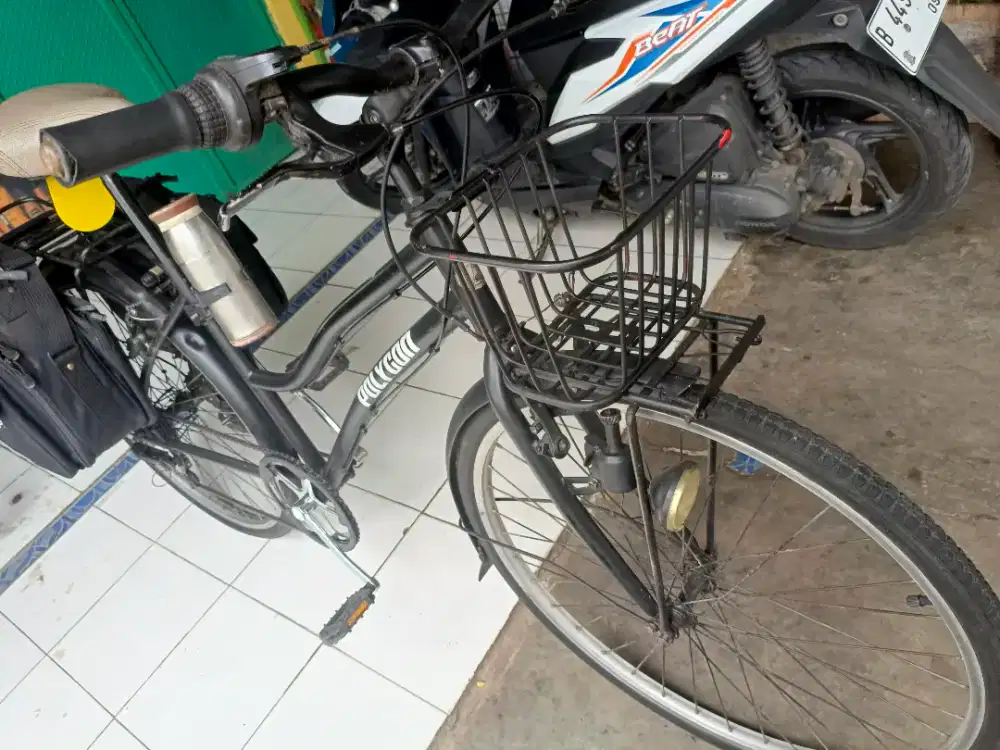 Sepeda dewasa murah