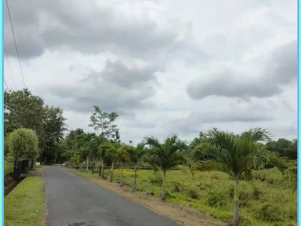 TANAH DI SLEMAN SHM MURAH DEKAT PASAR GODEAN COCOK UNTUK INVESTASI