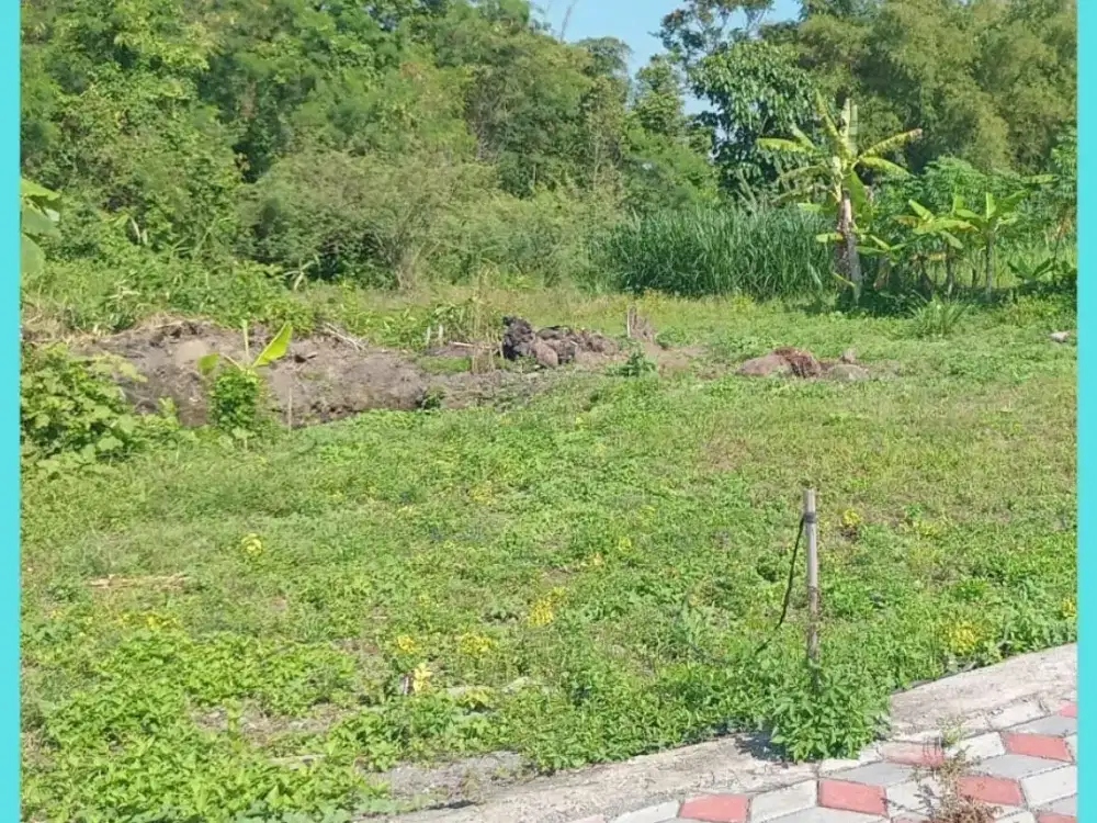 Tanah Kaliurang Jogja SHM Siap Balik Nama AJB Notaris