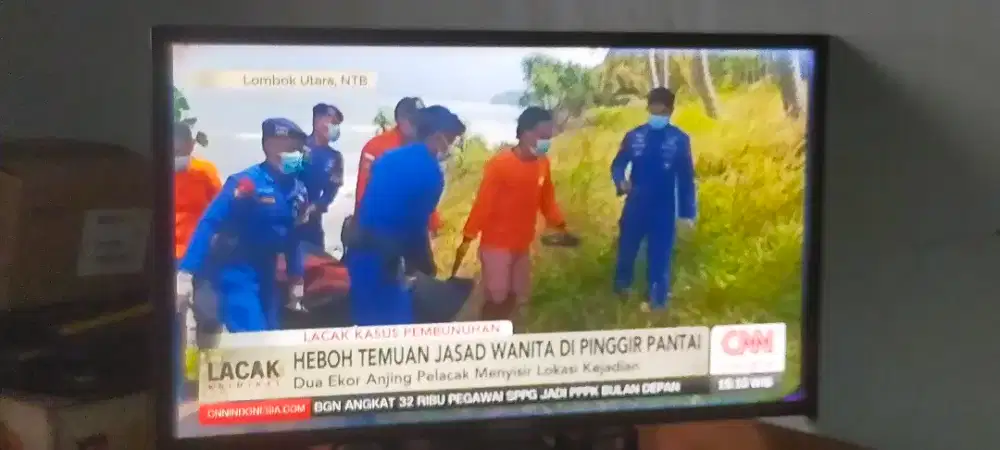 Monitor SAMSUNG 24 inc