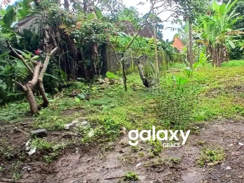 DIJUAL TANAH DI SAYAN UBUD GIANYAR, BALI