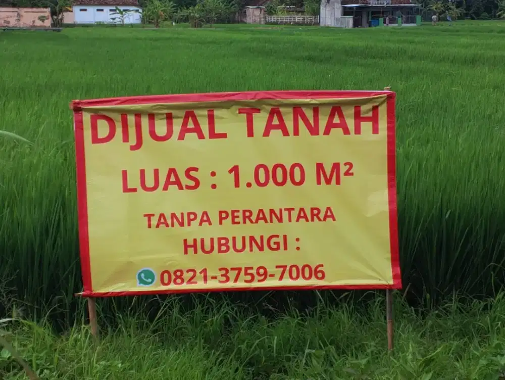 Dijual sawah subur di Jetis bantul