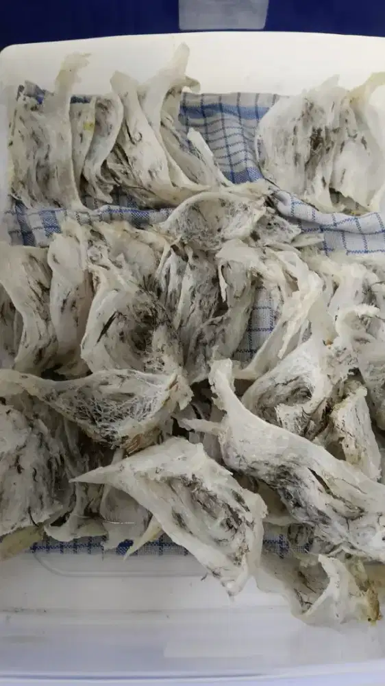 Dibuka Lowongan Kerja Walet