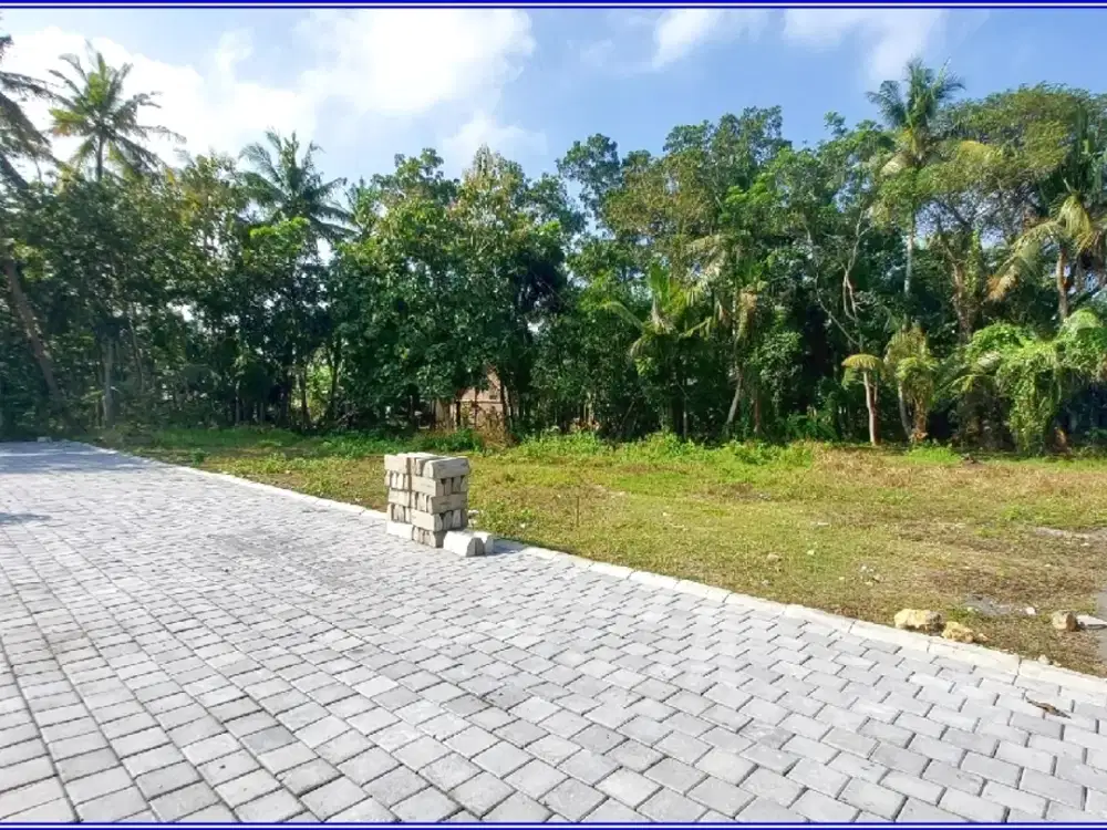 Tanah Pengasih Dekat Pengadilan Agama Wates 900 Rb-an