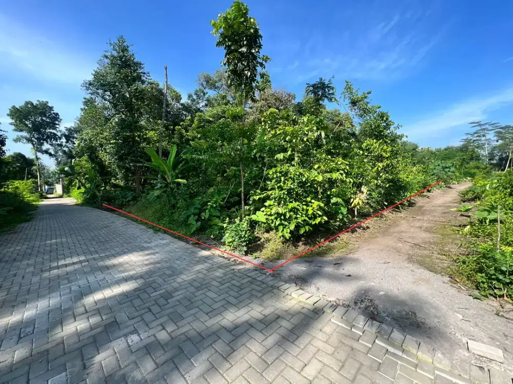 Ring 1 Kampus UII, Tanah Murah Peruntukkan Kost Eksklusif Jogja