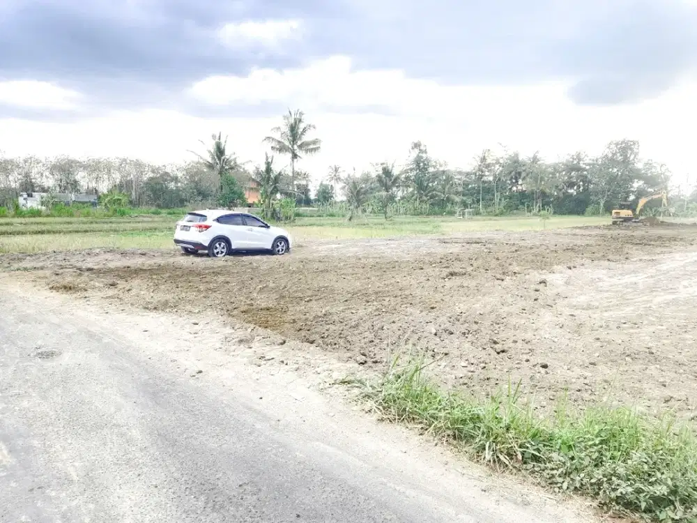 Tanah SHM Dekat UII, Potensi Bisnis