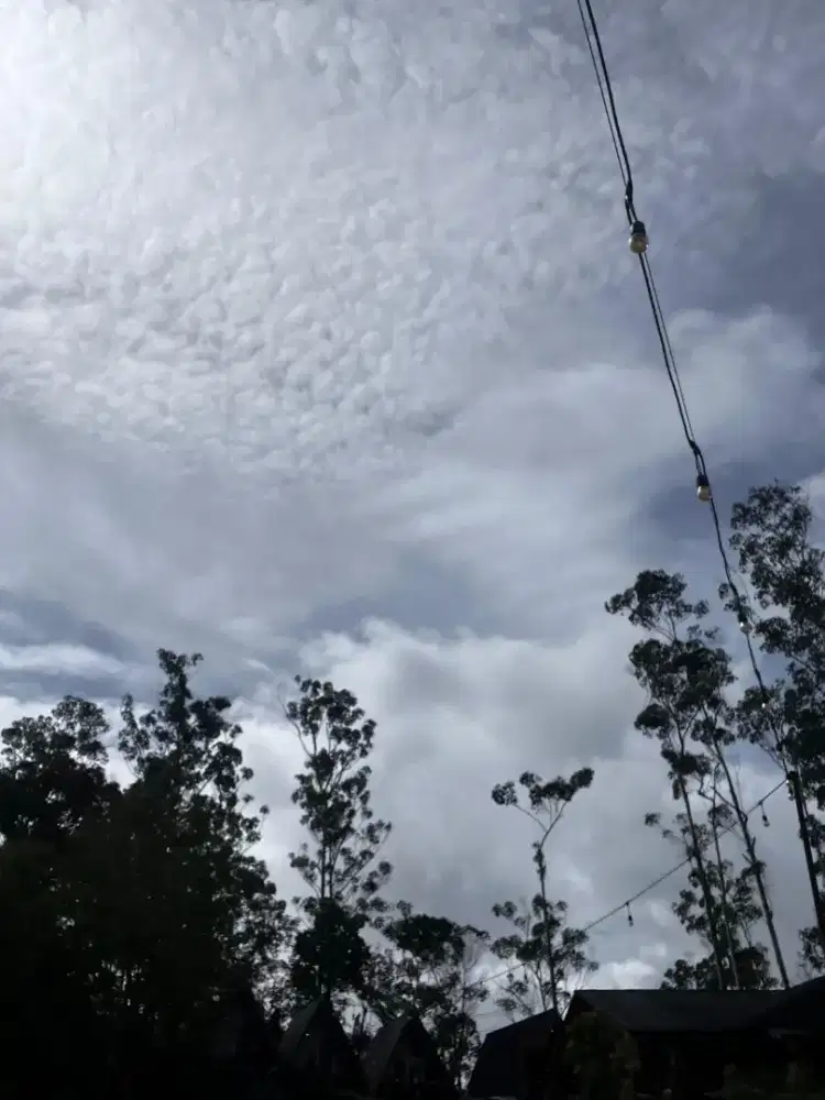 cari kerja buat cowo umur 20