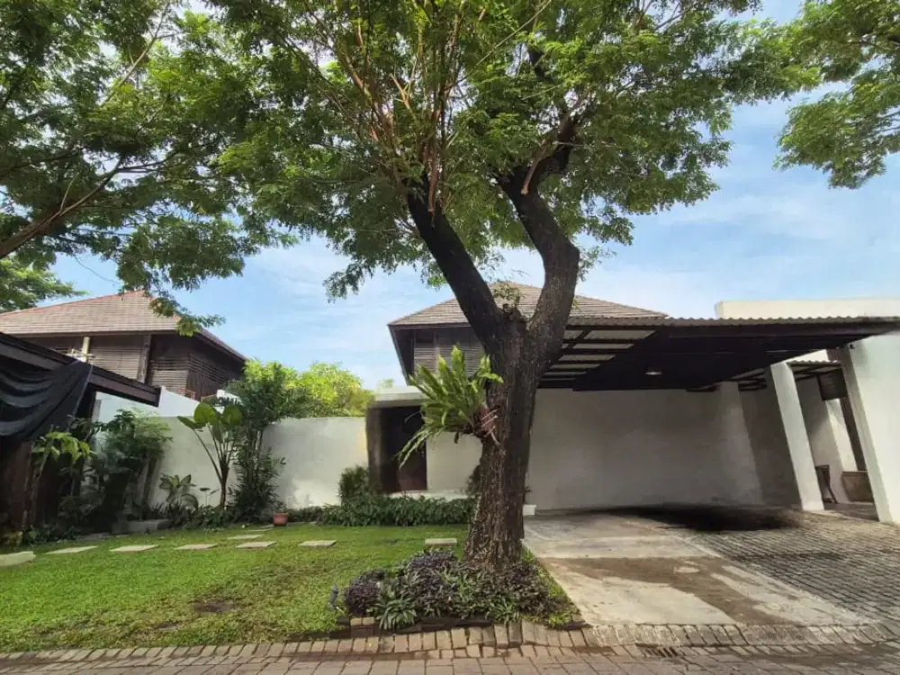 Rumah Insen Residence Darmo Tropis Cottage