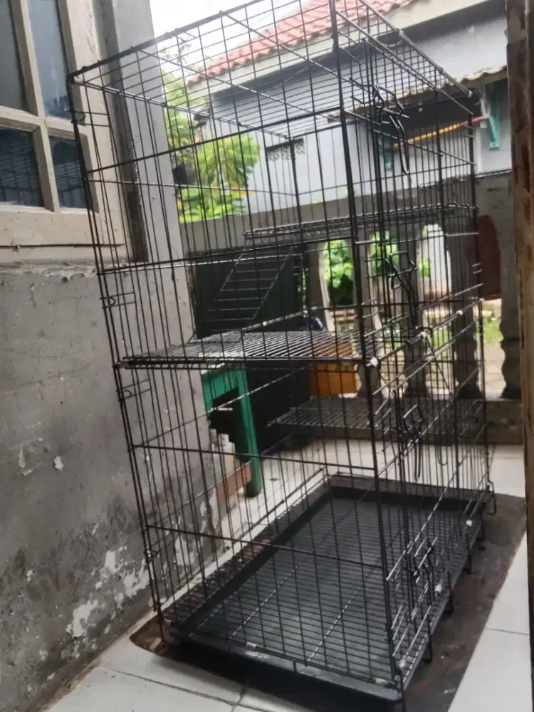 Kandang kucing tingkat