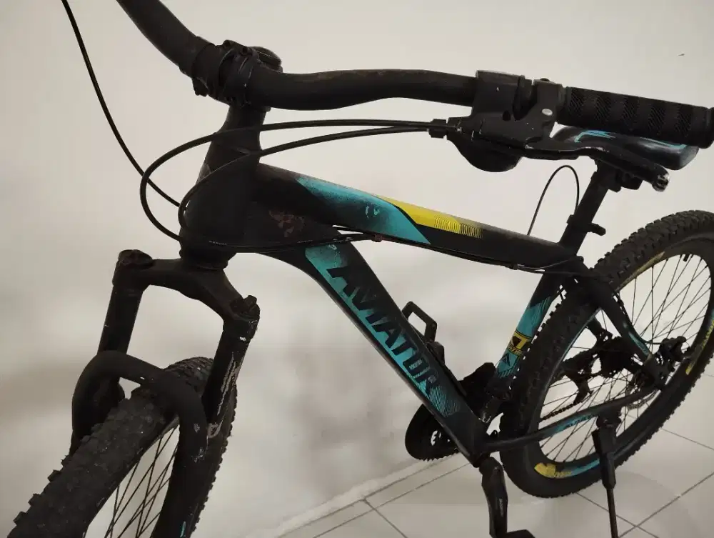 Sepeda Gunung (Mountain Bike)