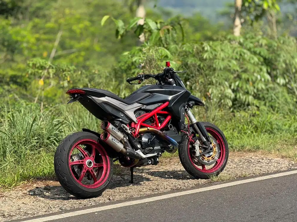 Ducati Hypermotard 821 (OZ Wheels & Spark full titanium)