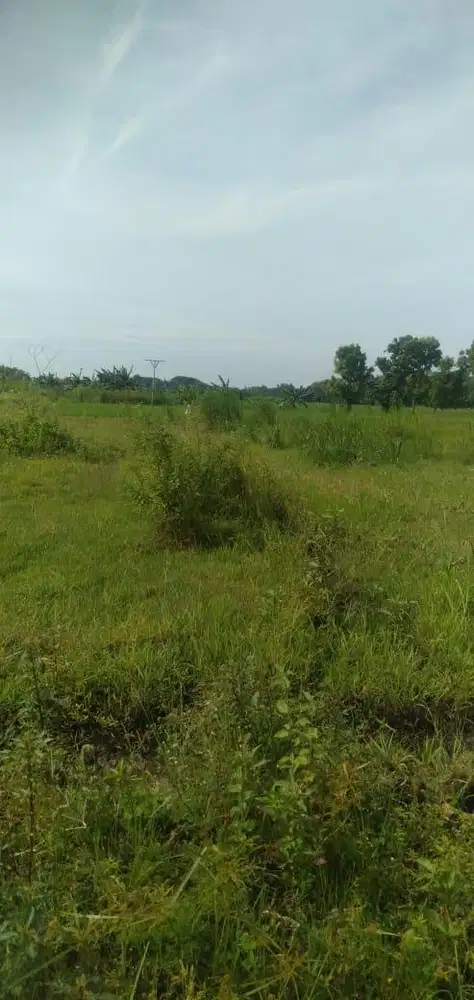 Dijual Tanah SHM luasnya 150m2