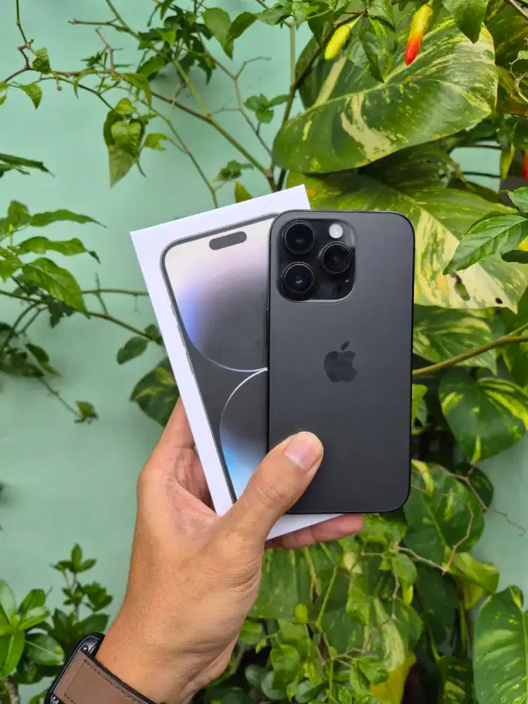 Iphone 14 Pro 256 Gb Fullset Resmi Ibox