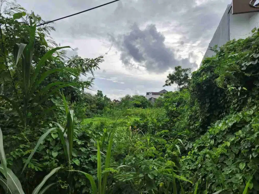Tanah Komersial Langka di Sunset Road Kuta Bali