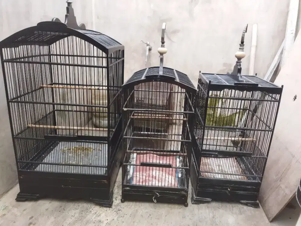 Sangkar masih layak pakai