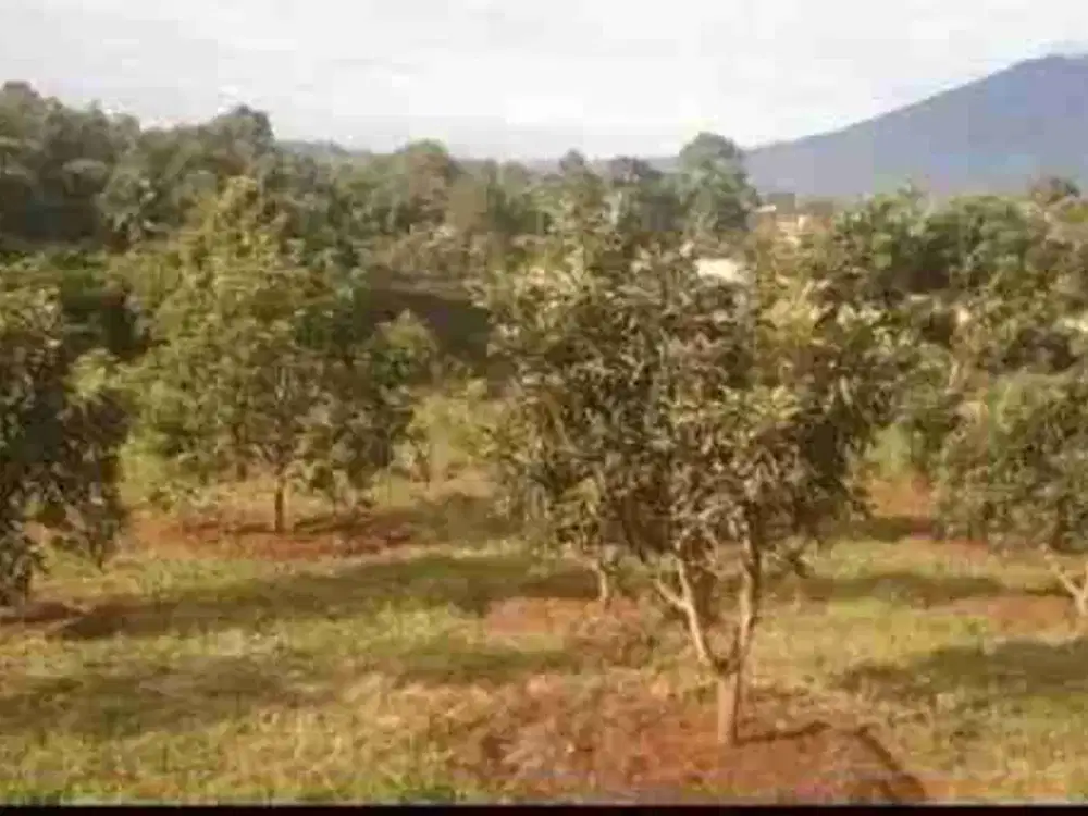 jual tanah murah pasir angin sumarecon