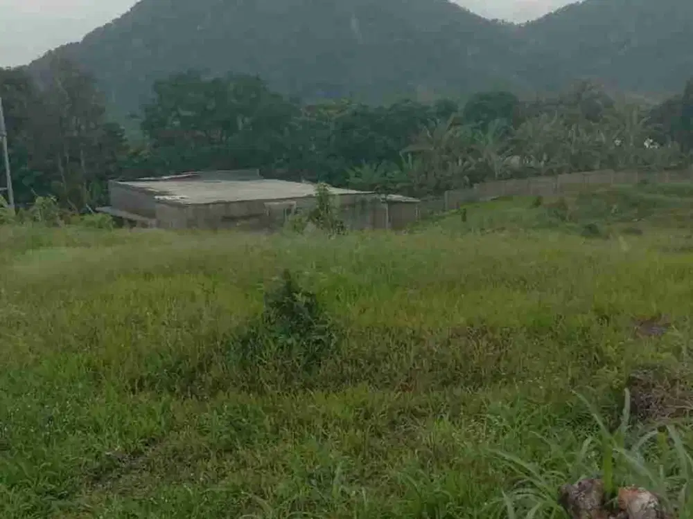 tanah murah bojong koneng