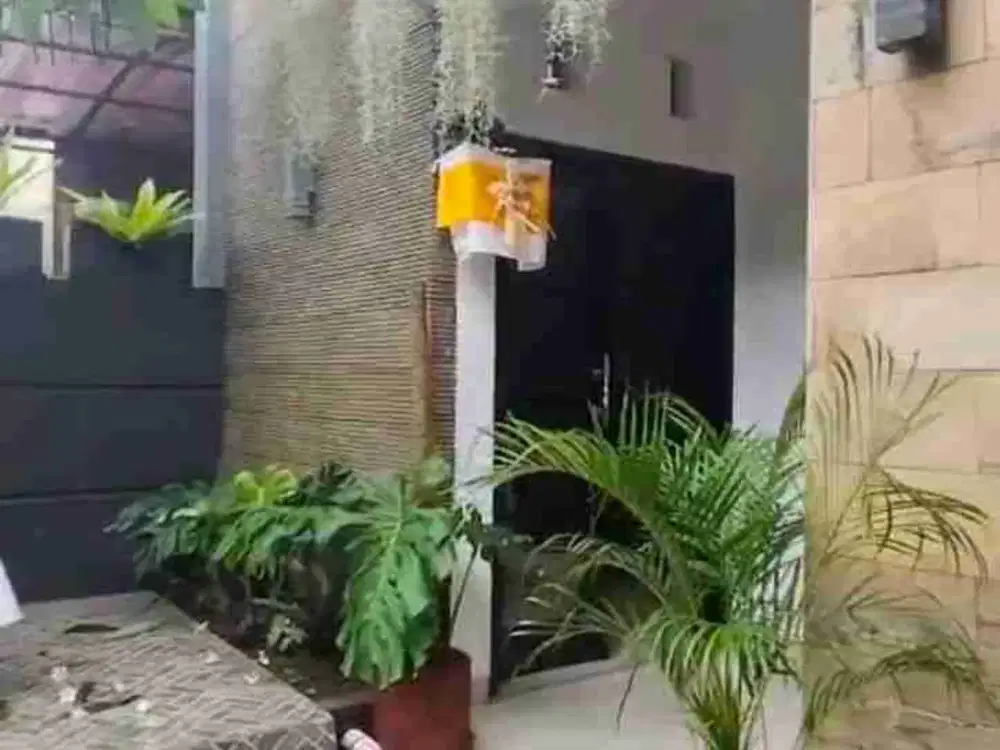 rumah sedap malam Denpasar timur bali